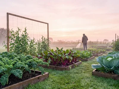 Community Garden